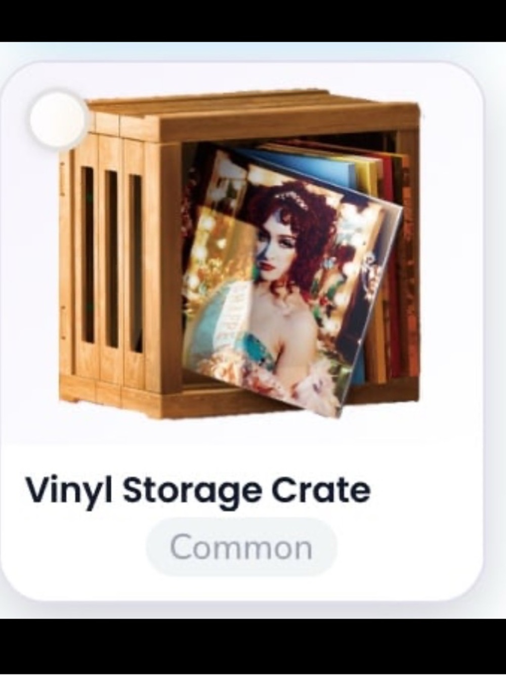 Mini Brands Vinyl Really Works